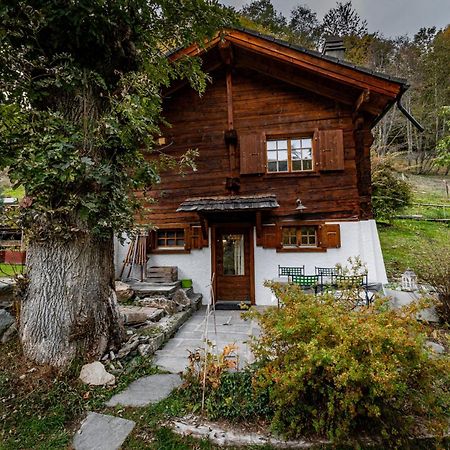 Chalet Les Rindes Nendaz Extérieur photo